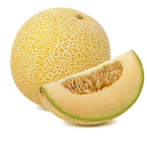 Galia Melon